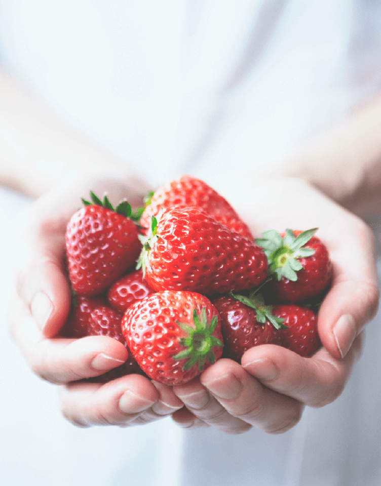 農業研究所の方へ