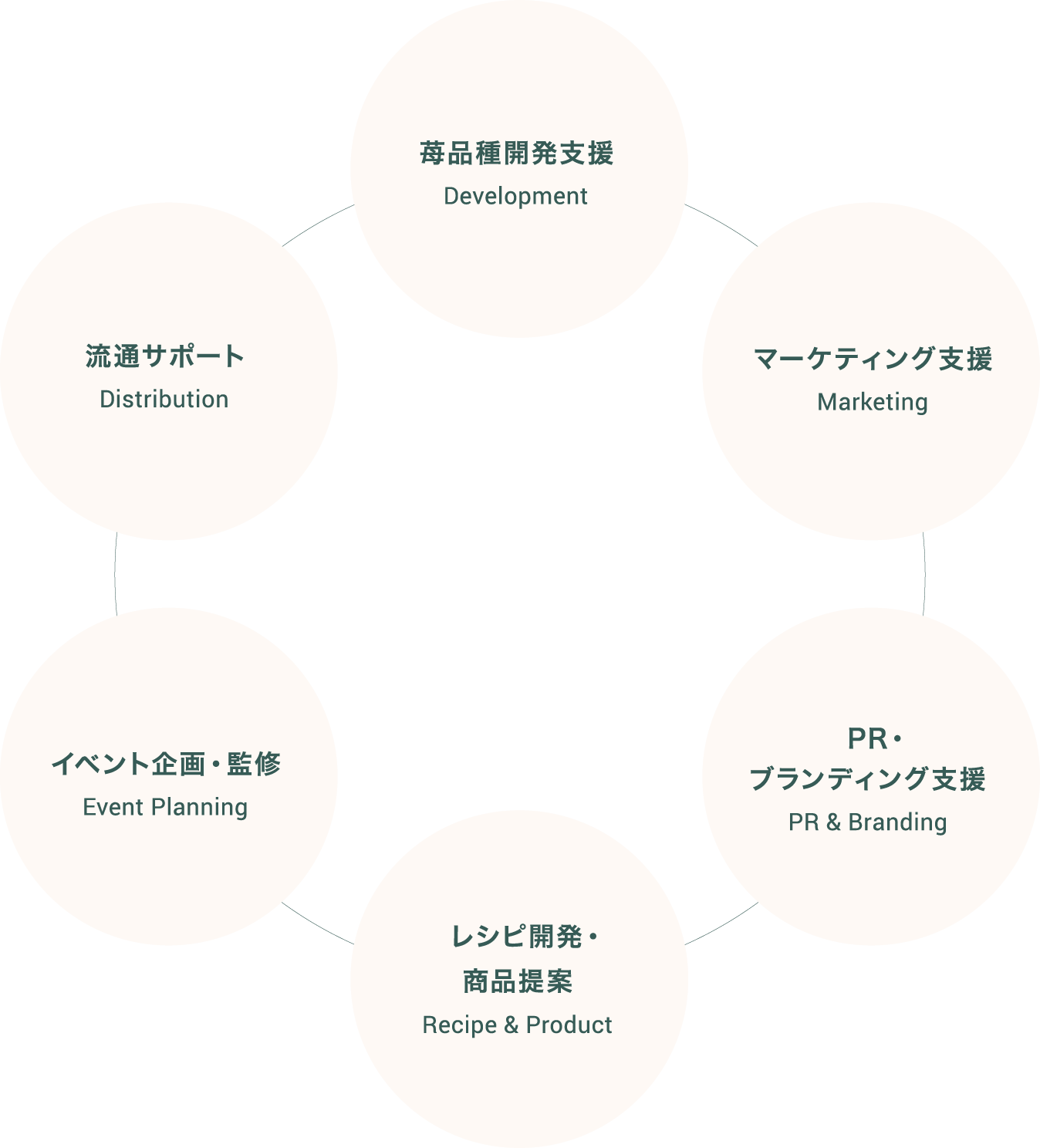 サポート領域 Support Areas