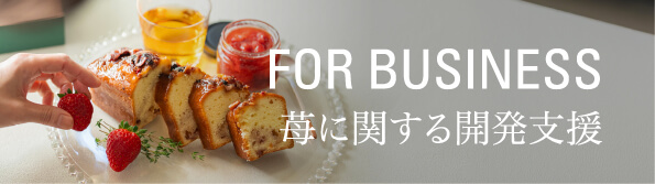 FOR BUSINESS 苺に関する開発支援